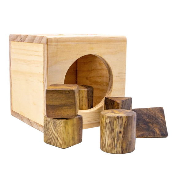 Wooden geometric blocks